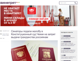 Сенаторы подали жалобу в Конституционный суд Чехии на запрет выдачи гражданства россиянам